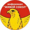 ЖИВОЙ СОКОЛ (инфоканал)