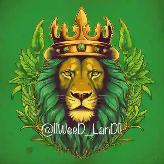 🔱 ویدلند | WeeDLanD ☘️