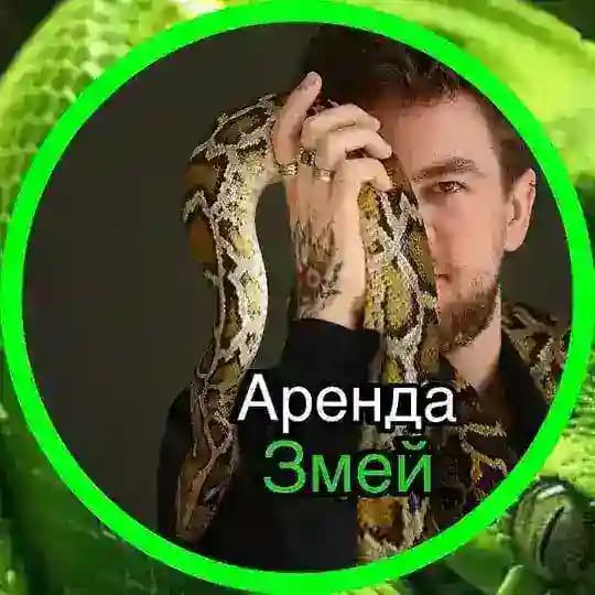 Змеиный беспредел🐍