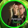 Змеиный беспредел🐍