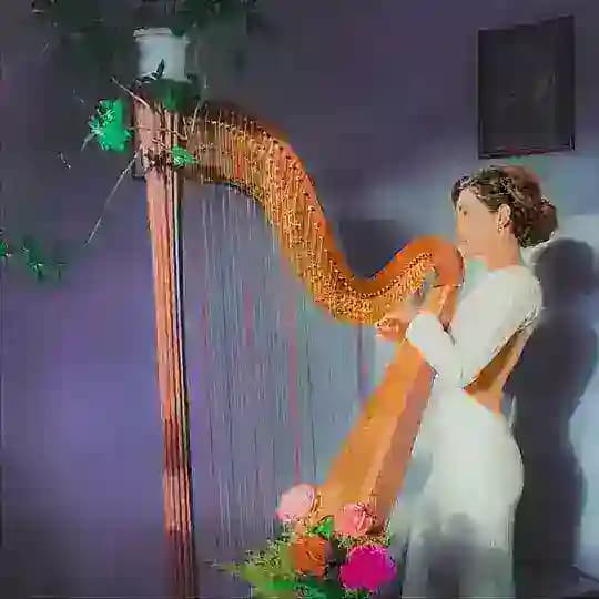 АРФЕЯ🧚♀️