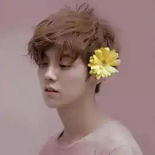 ⌗ luhan | ( 鹿晗 )`