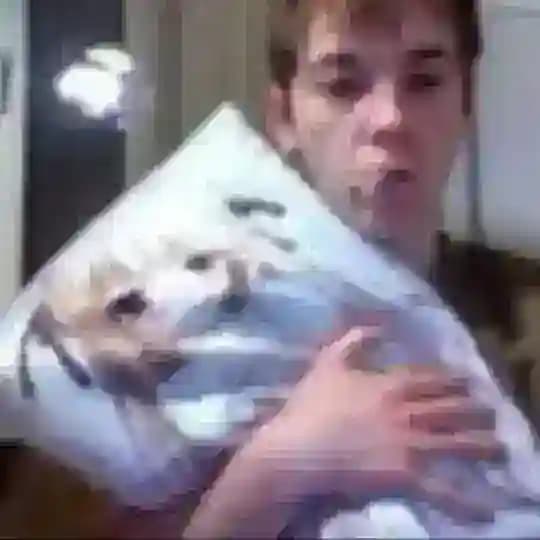 сообщество голых собак