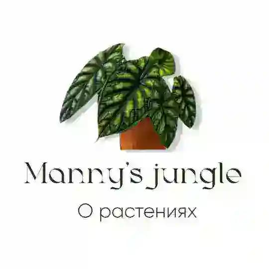 Manny’s jungle