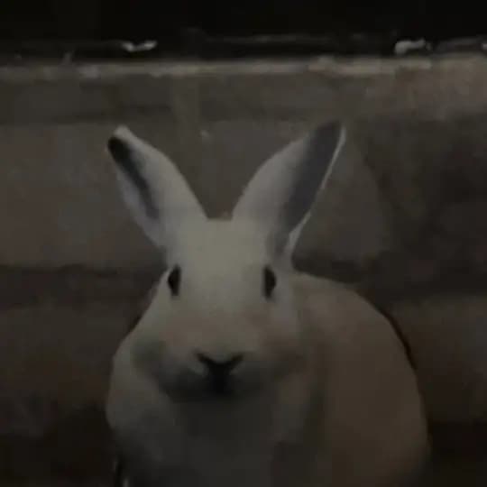 марина почему мо