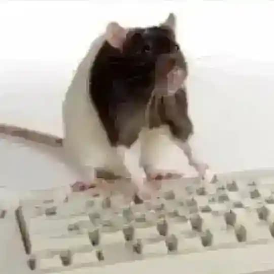 маруся 🐕🦺