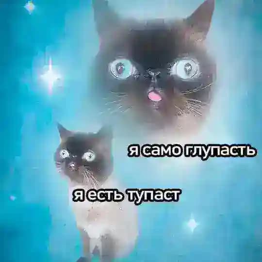 Masa craft /пиво/ поныть