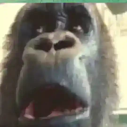 𝗠𝗦𝗤𝗡𝗠🇰🇿