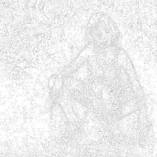 salerpop