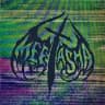 mmeetasha
