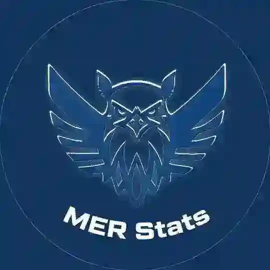 MER Stats.AdovDev - Valorant Mobile