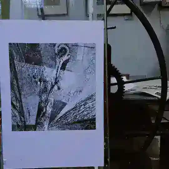 меж ветвей