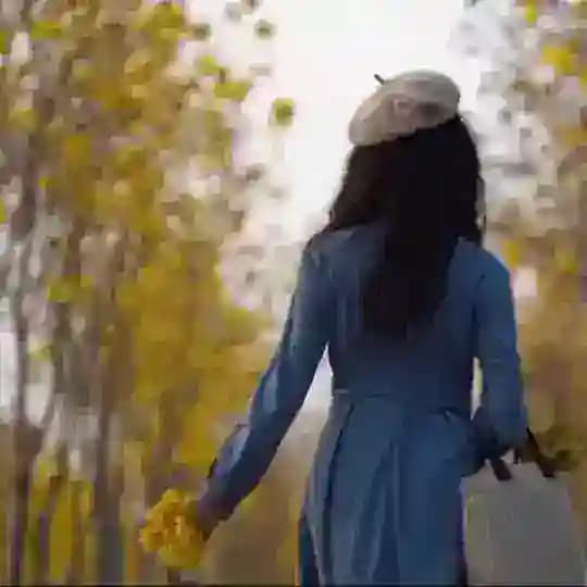 红禅Owei