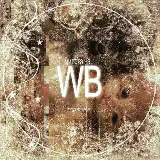Милота на WB | ksux_animations