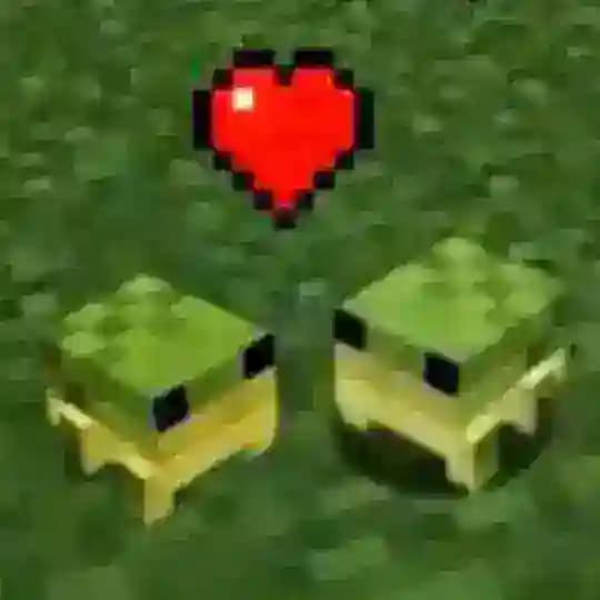 MINECRAFT: Not force ship