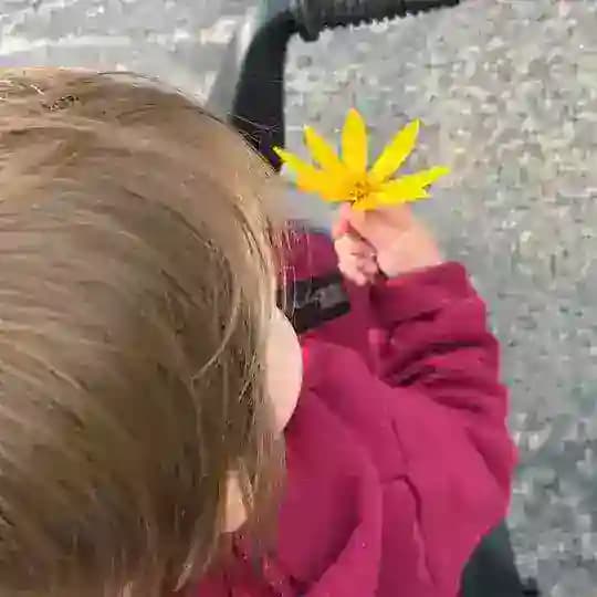Мир Майи 🍀✨🍬