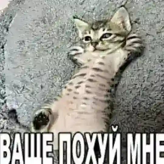 Мазок говна