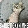 Мазок говна