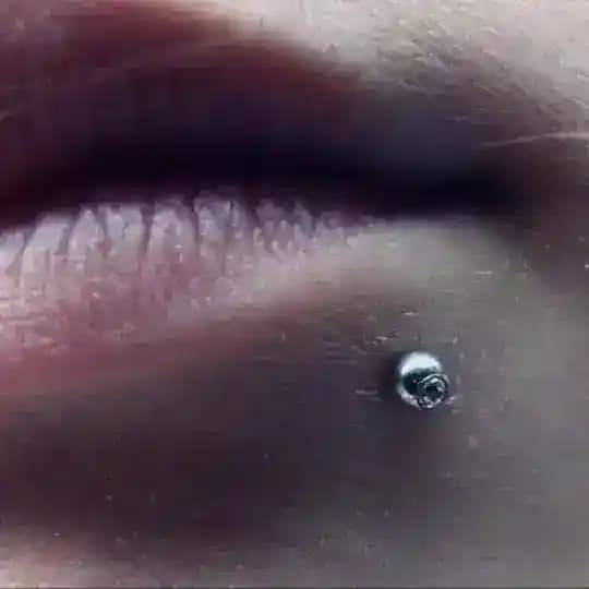 moclºmo