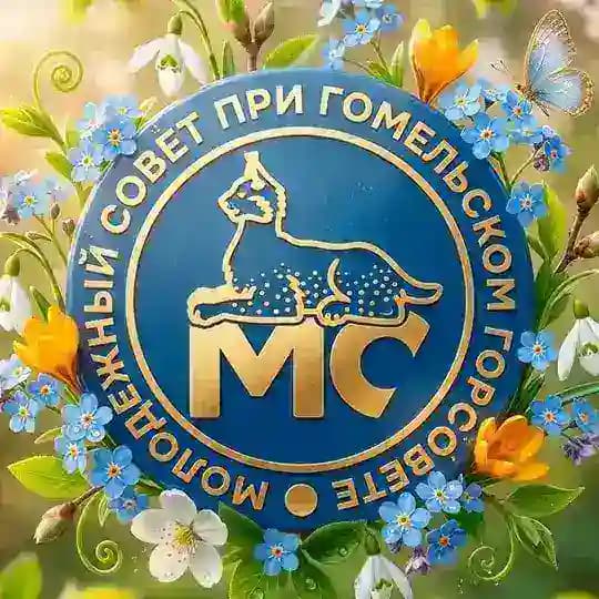Молодёжный совет Гомеля