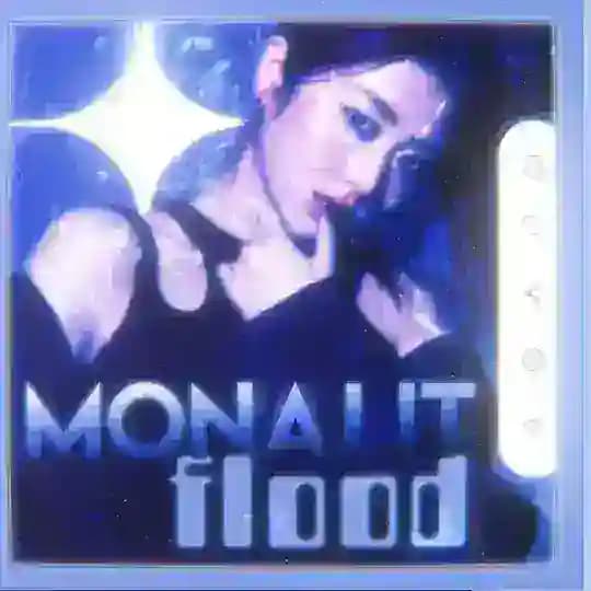 🔒mønāłit floođ info