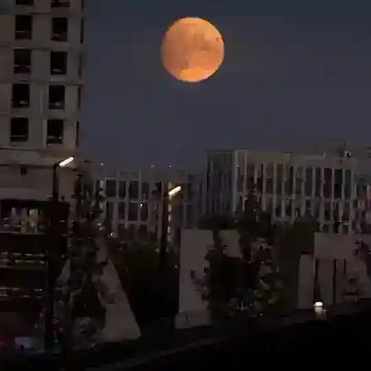 Агентство лунный свет