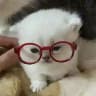 moka ♡ cats & craft