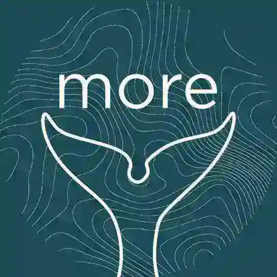 MORE