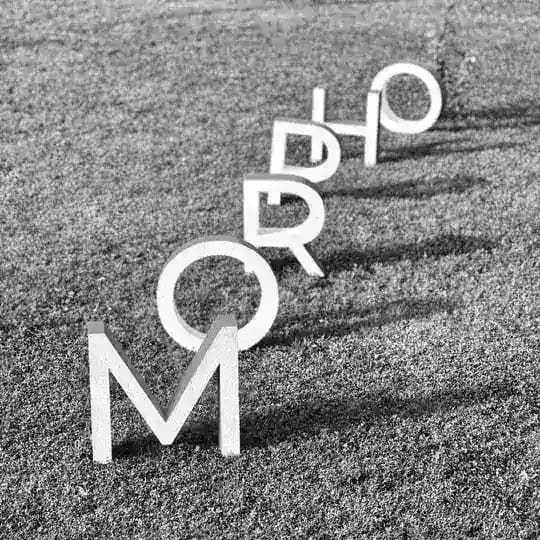 MORPHO ARCHITECTS