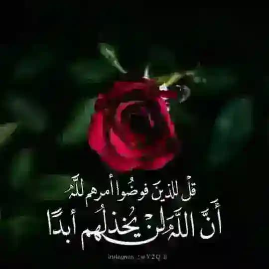 المتناصحون بالله