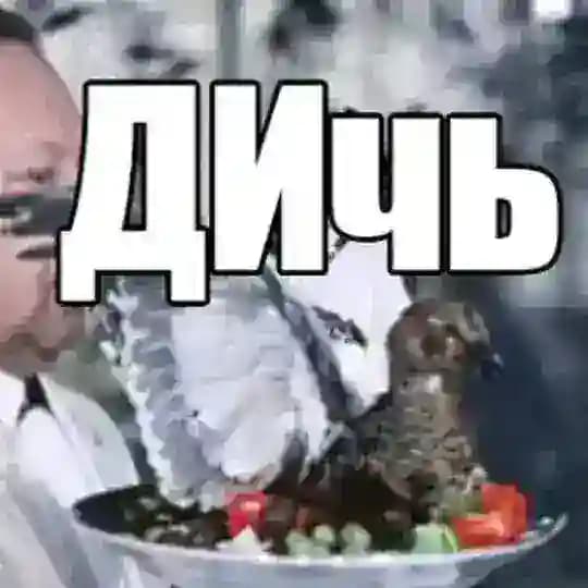 D-ch
