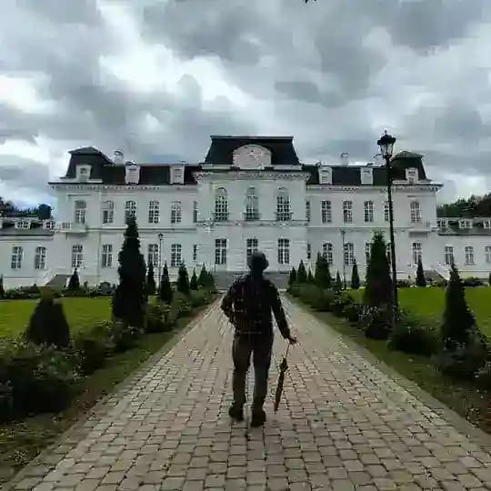 Кудри под панамой