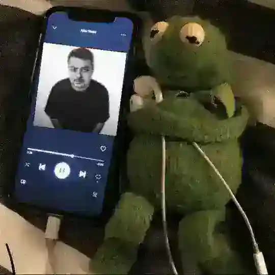 musify🔊