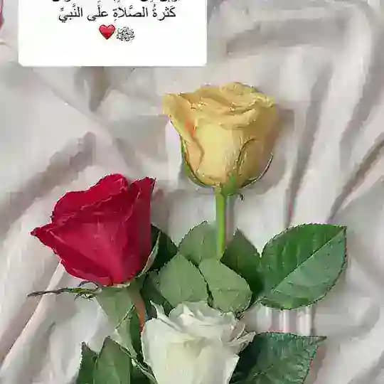 نقاء الروح 🍀🦋