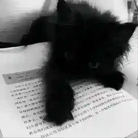Лексунчик