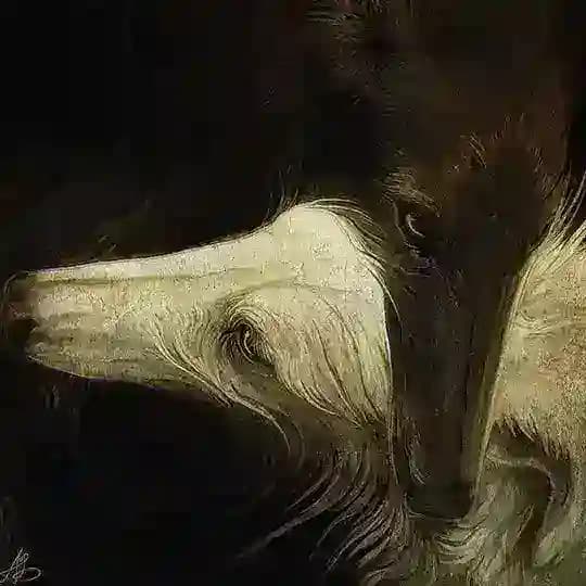 —𝔑𝔢𝔤,𝔢𝔫𝔬𝔲𝔤𝔥..