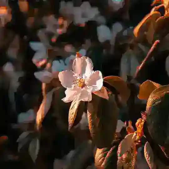 🦢𝐿𝑖𝑧𝑎𝑁𝑒𝑗𝑛𝑎𝑦𝑎