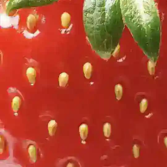 нелли