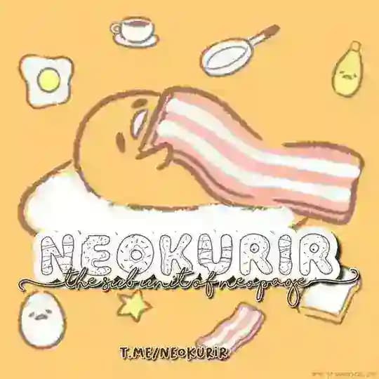 ily neokurir