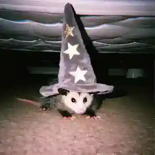 Нерисуй