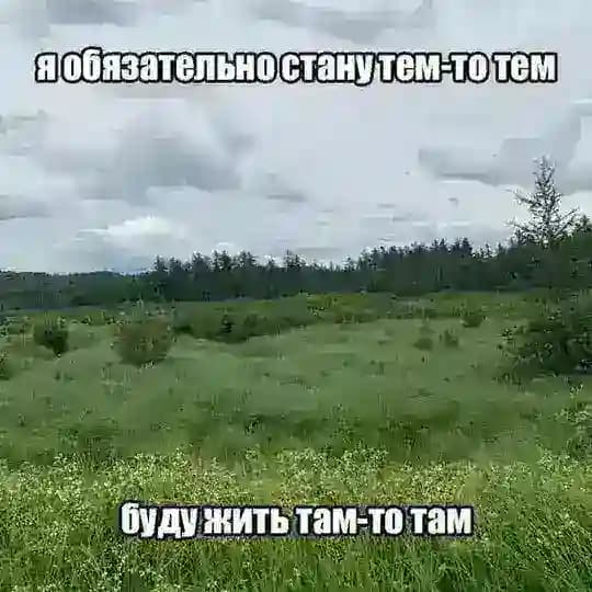 идиотизм и слабоумие