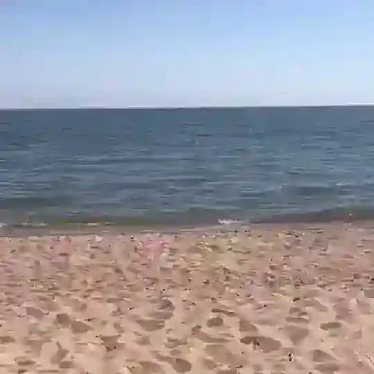 Не всякая всячина
