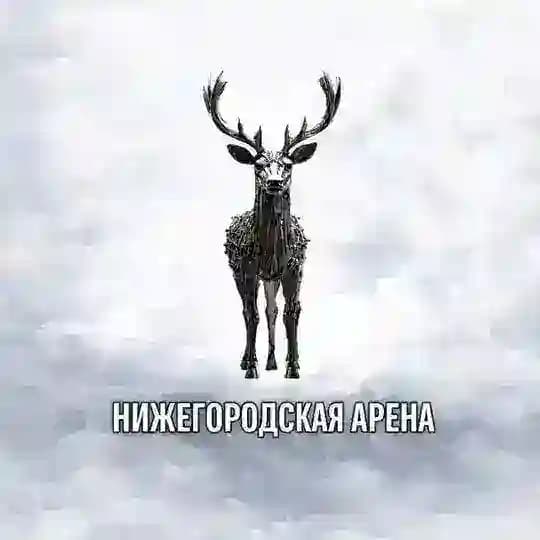 Нижегородская арена | Спорт Нижний Новгород