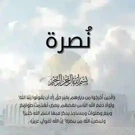 نُصرة Profile