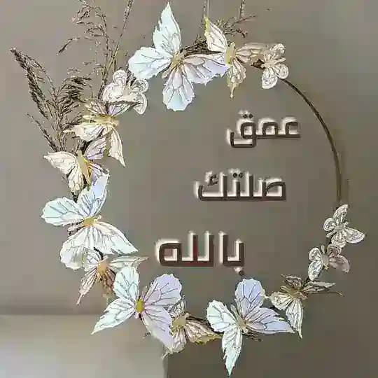 🌼 عمق صلتك بالله 🌼