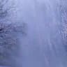 Obscurity Flows