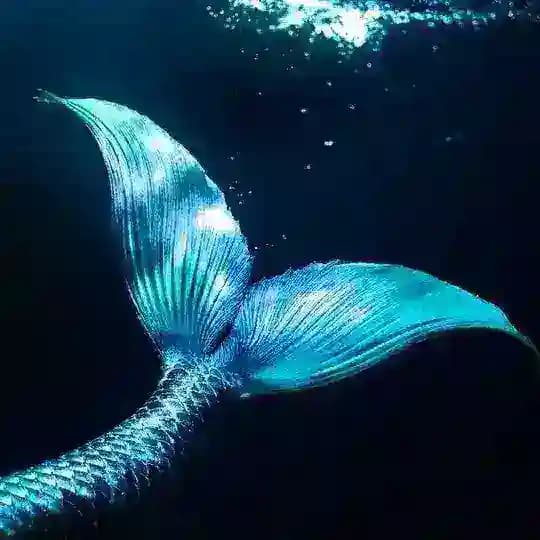 𝑂𝑐𝑒𝑎𝑛𝑜𝑔𝑟𝑎𝑝ℎ𝑦 𝑐𝑜𝑛𝑓𝑒𝑠𝑠𝑖𝑜𝑛