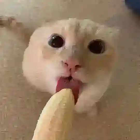 Oʰ SHᐞↁO⋈⌊ORↁ 18+