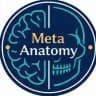علوم پایه پزشکی | Meta Anatomy🩺