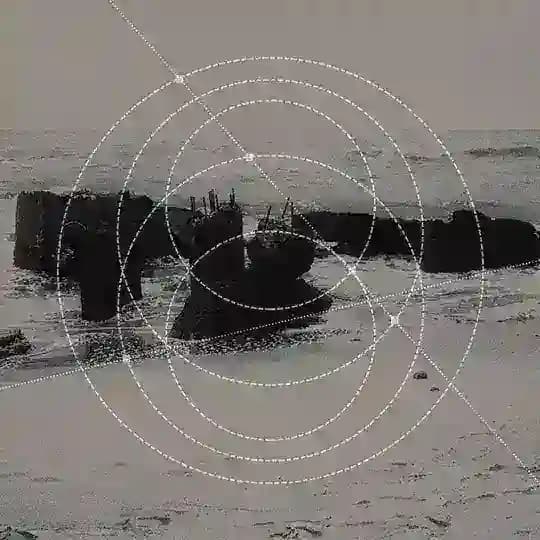 Омонимия